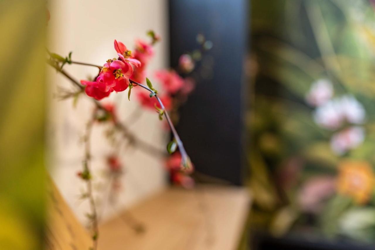 Maloca' Joffre 永河畔拉罗什 外观 照片